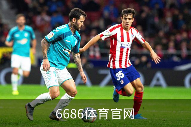 6686体育官网公司简介图
